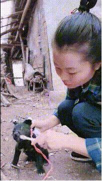 搞笑动图gif素材,搞笑动图gif图片2000期