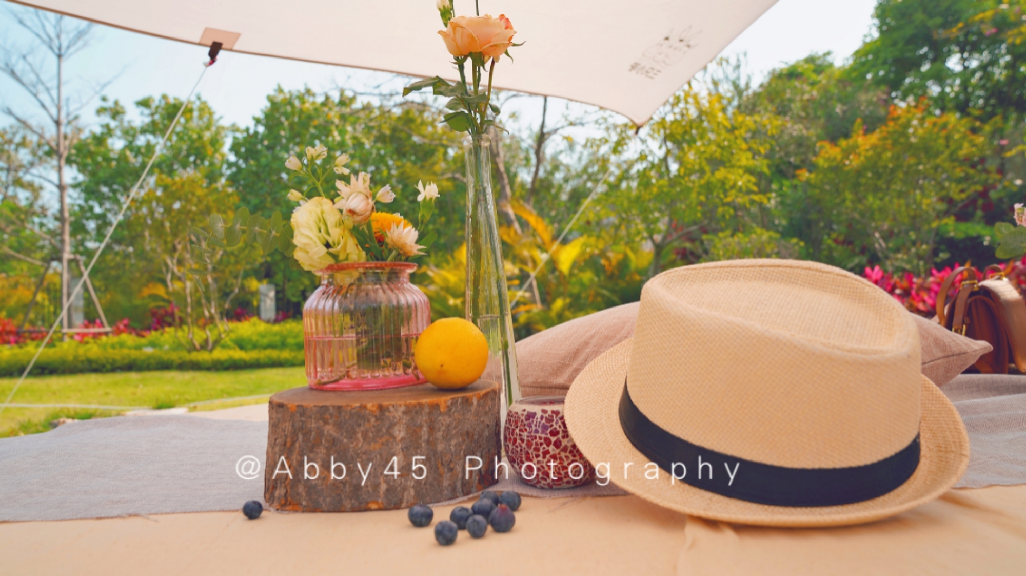 厦门五星级在山上的酒店,厦门最美星空露营地