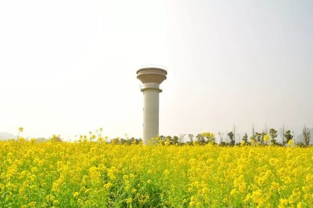 重庆旅游小岛,重庆小岛景区