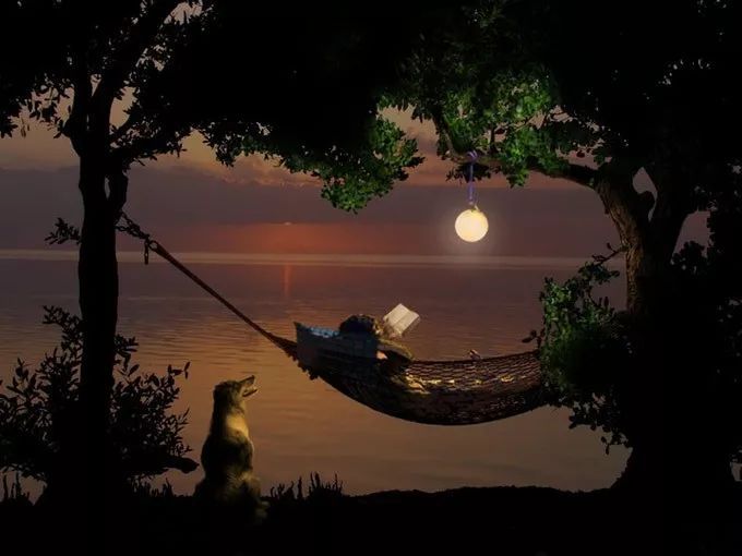 这盏灯,这盏灯又轻又亮