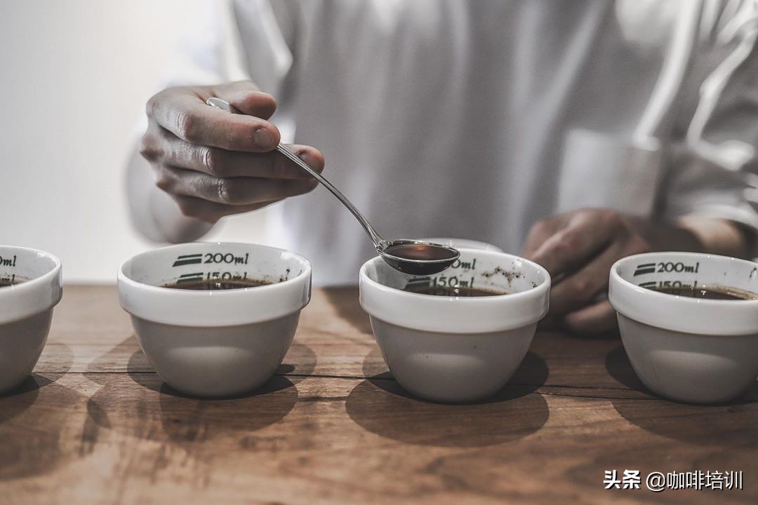知识｜咖啡的口感到底好不好？喝咖啡你得要知道的三大体验