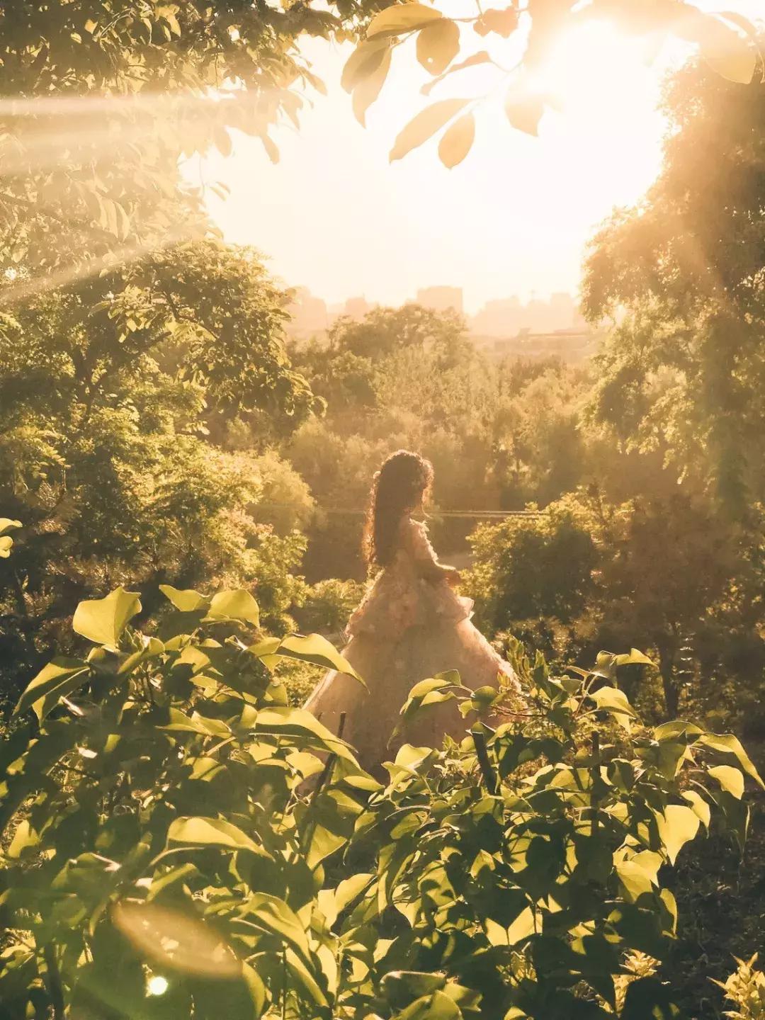 iphone13相机最佳设置,iphone12pro相机设置