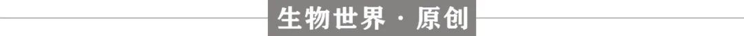 基因治疗青光眼的新消息,基因治疗青光眼的最新消息