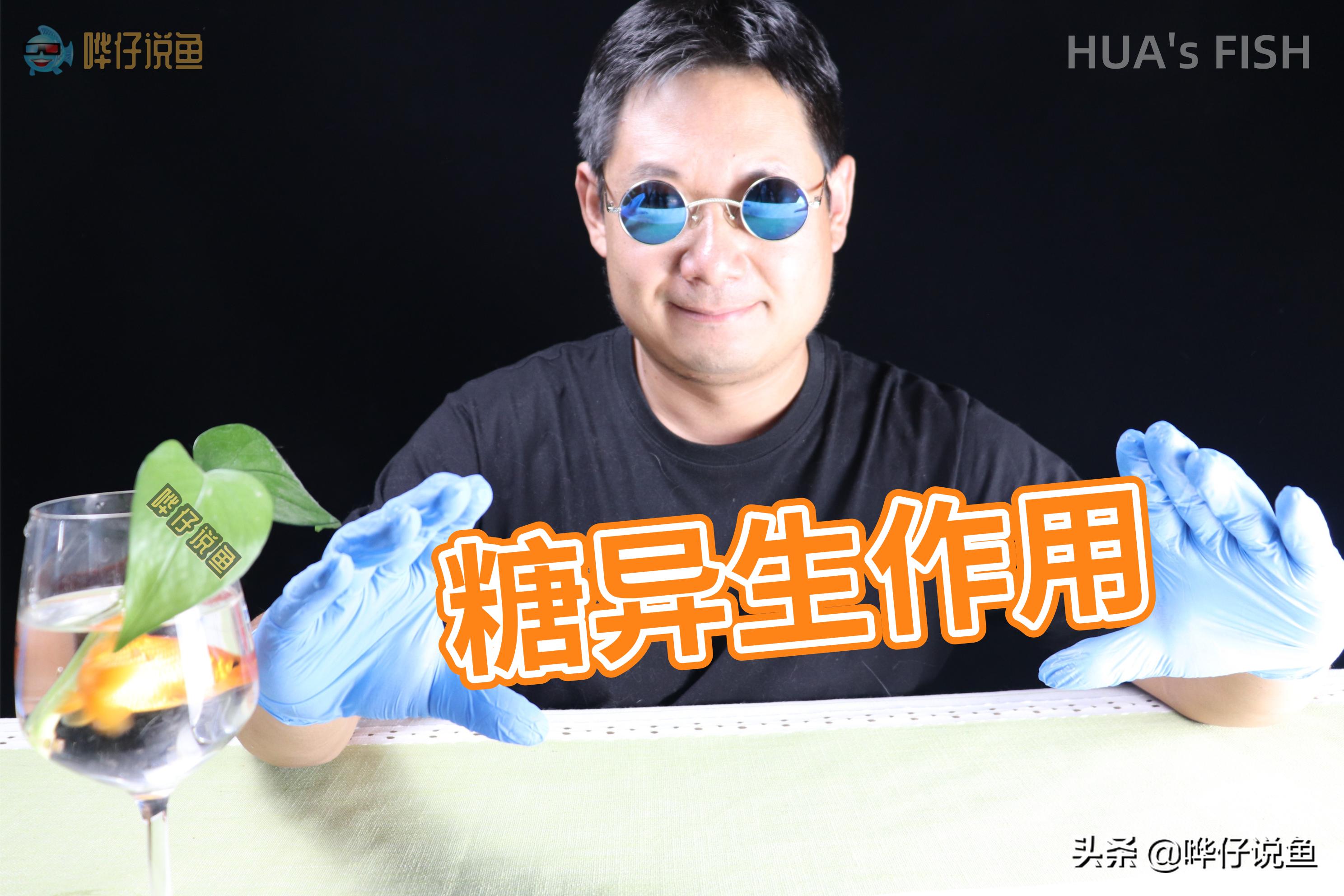 观赏鱼鱼饲料加红糖,可以大蒜水泡鱼粮喂鱼吗