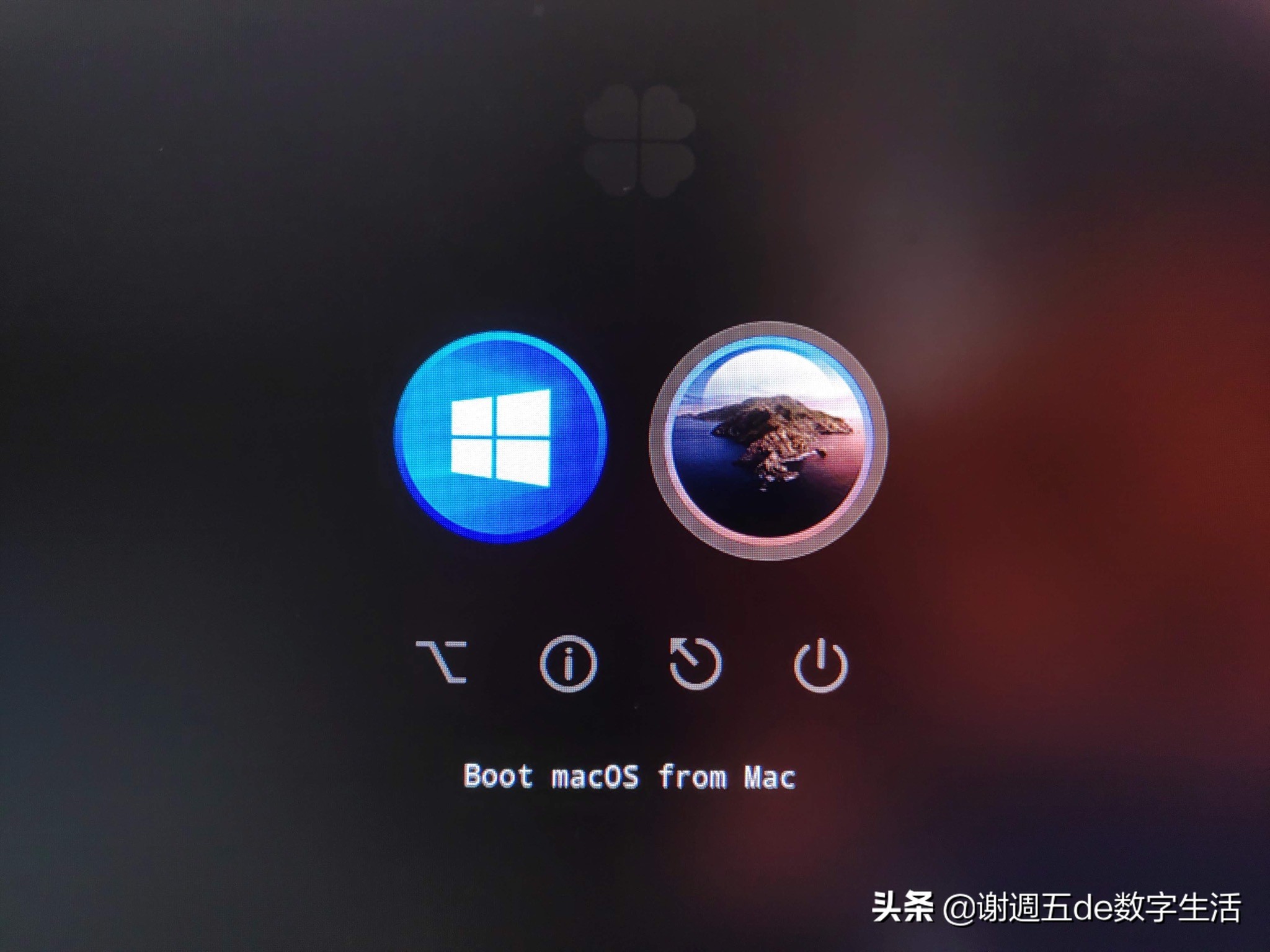 nuc8黑苹果视频处理能力,nuc8黑苹果优缺点