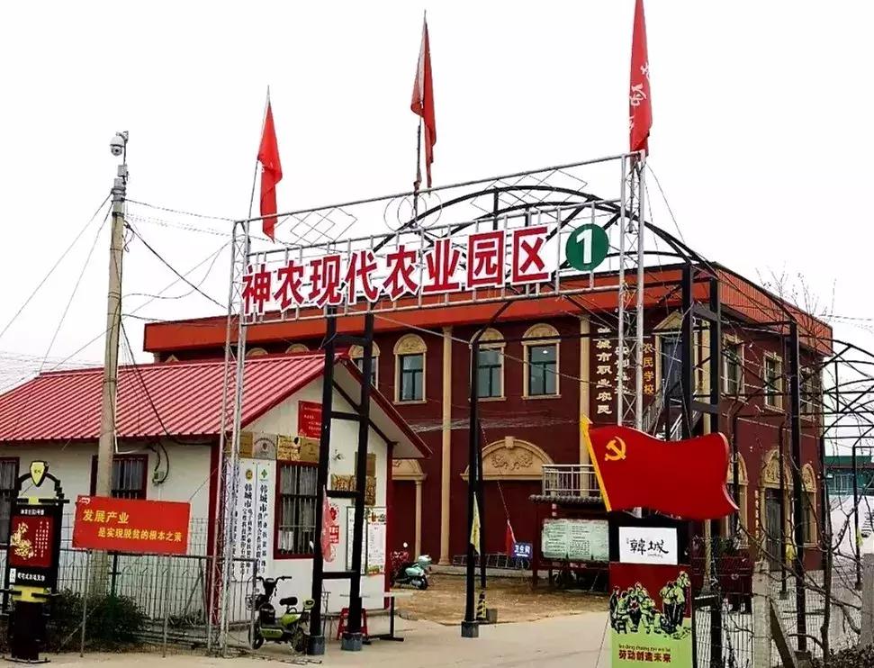 韩城必买十大特产 (韩城旅游攻略特产)