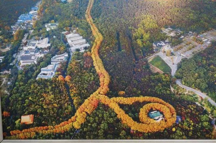 4月7日西安出发特价机票,西安出发七八月特价机票