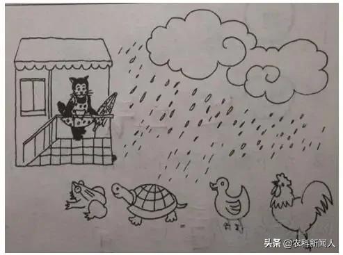 二年级看图写话直播课程,二年级看图写话100篇