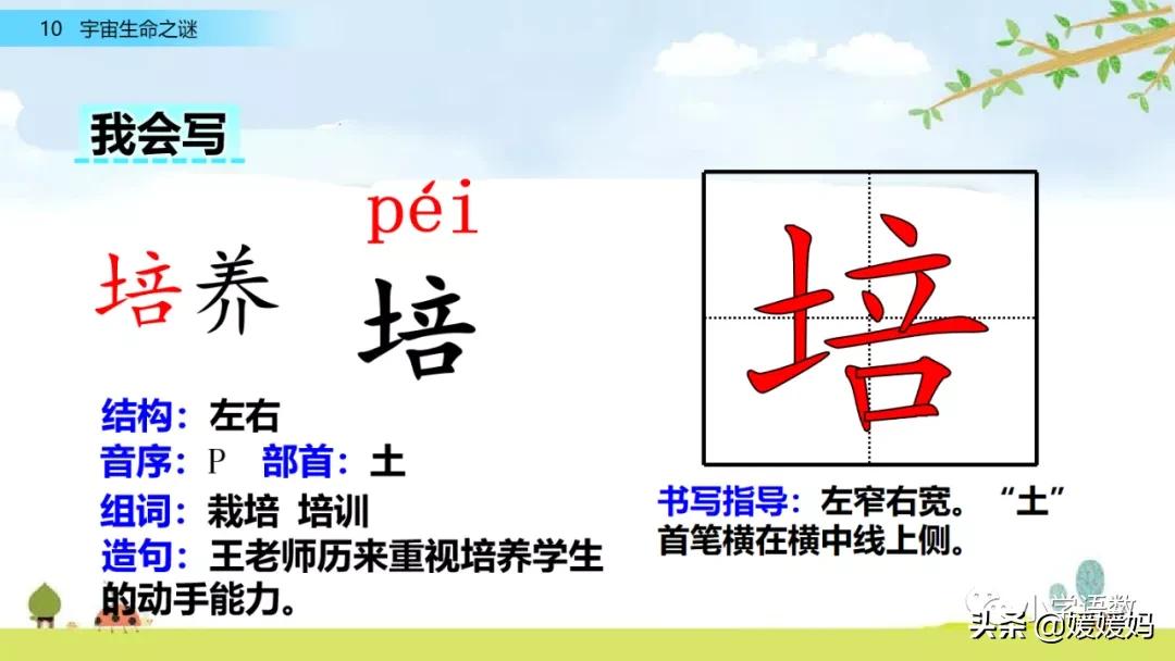 六年级上册宇宙生命之谜阅读方法,六年级语文宇宙生命之谜板书设计
