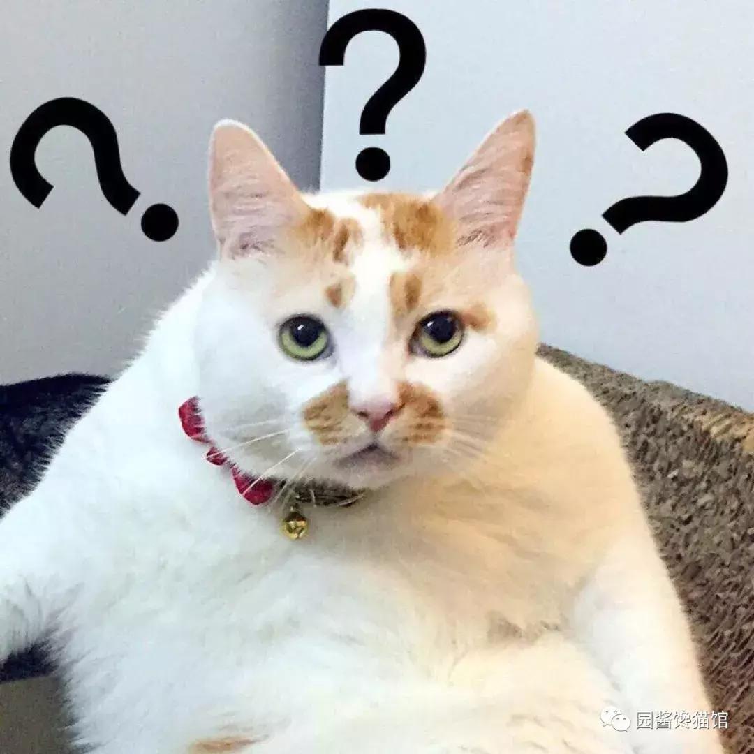 又要和我们抢申请非遗？这次竟然还是螺蛳粉？别逗了！