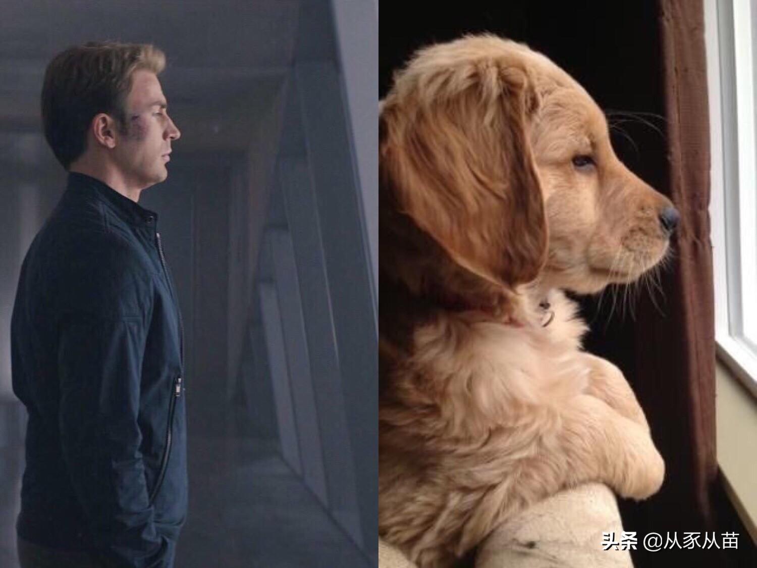 原来美队私底下是这样！看完这组照片会心一笑哈哈