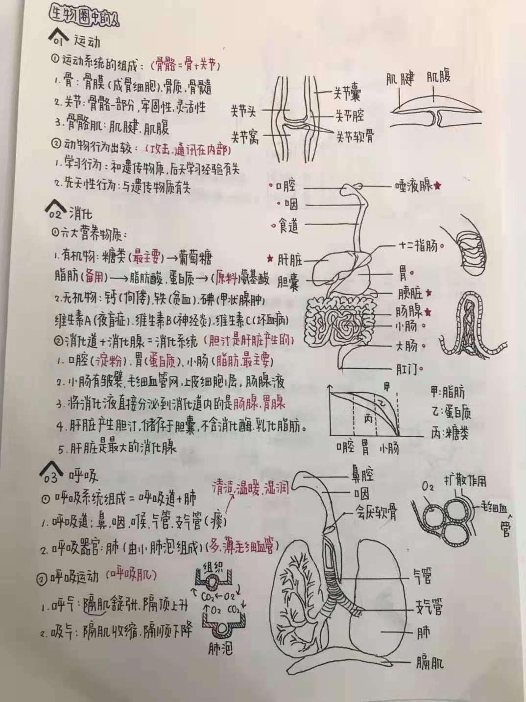 非常可爱的奶酪字体,超可爱的奶酪字体