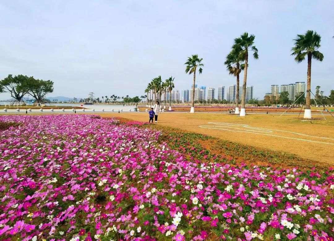 珠海入户口积分多少,珠海积分入学入户时间