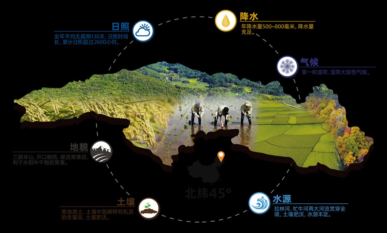 五常稻花香大米执行标准号,五常大米执行标准为什么是1354
