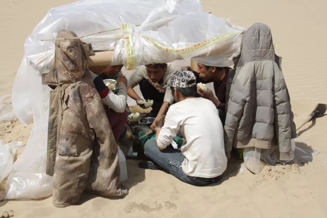 沙漠种植致富经验,沙漠变良田投资4万亿