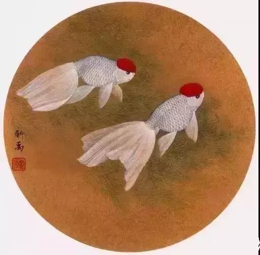 工笔金鱼线稿100例,工笔金鱼图片大全大图