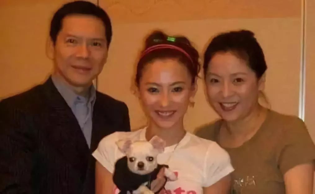 向太炮轰周星驰各路明星战队,向太陈岚怎么评价张柏芝的