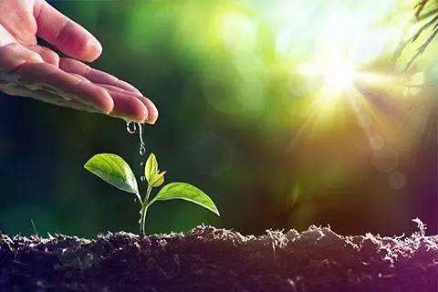 这部电影值得看：虽然有生活的辛酸，但更有生命的希望