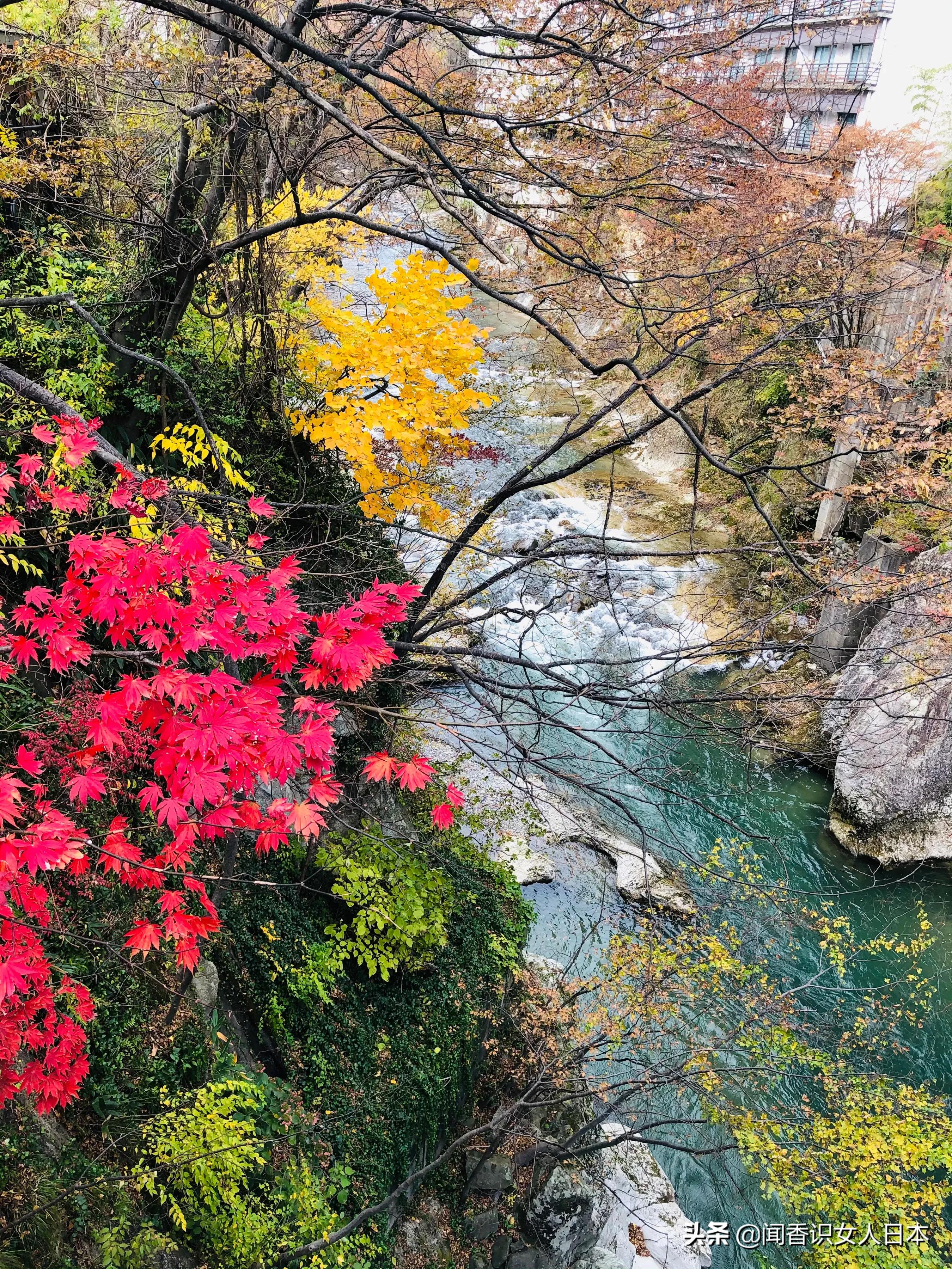 群马县最有名的温泉,群马温泉一日游攻略