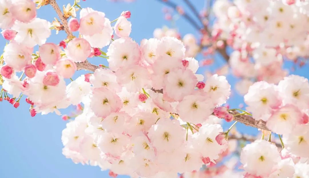 忽然想去旅游了,忽然想去宁波了