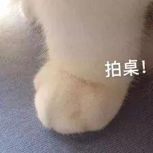 用精华水还是爽肤水好,用精华水好还是爽肤水好