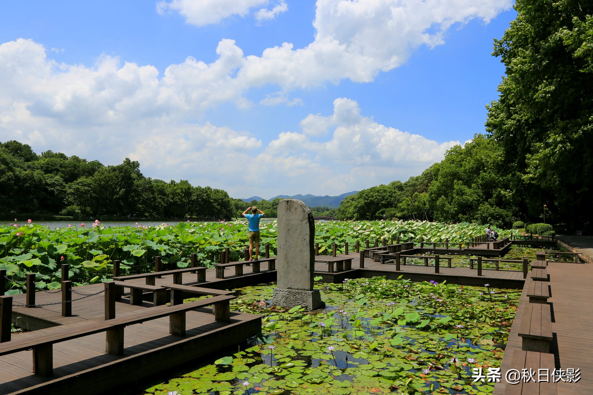蓝天白云下的荷花“盛宴”，寻访夏日西湖之美，打卡趁现在
