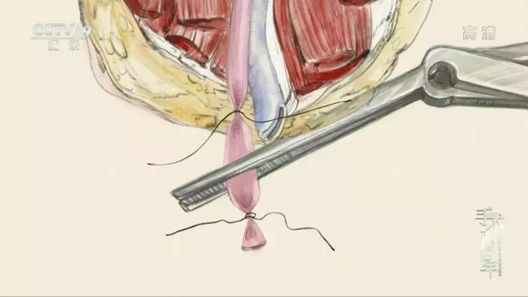 在学习强国看电视剧,能在学习强国看的电视剧