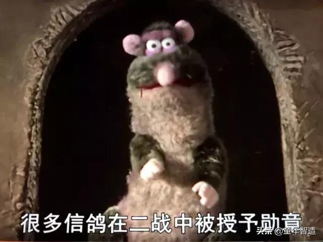 砍头、神曲、吃心脏…BBC另类儿童节目，树了最正的历史观