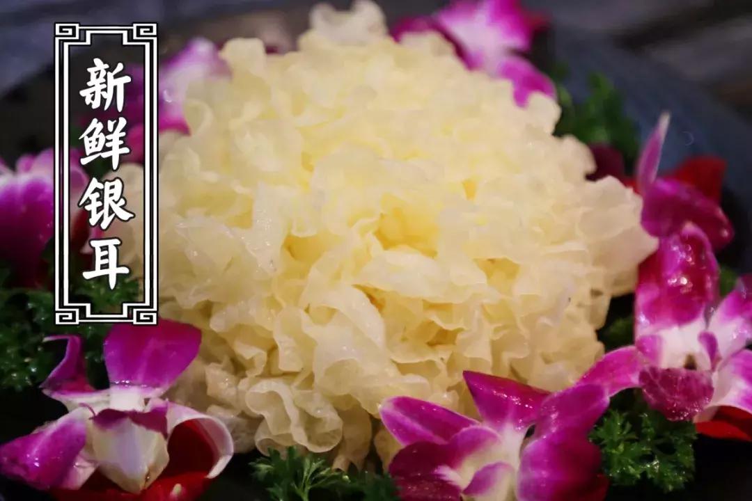 抖音188元火锅,古乐牛香牛杂火锅99元套餐温州