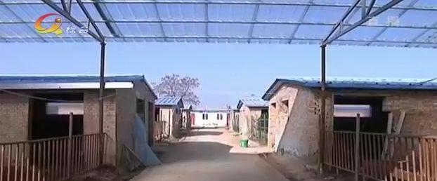 致富经养牛能手致富视频,致富经养牛一年赚10亿