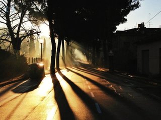 哪款iphone拍出来的照片更好看,苹果年度最佳照片