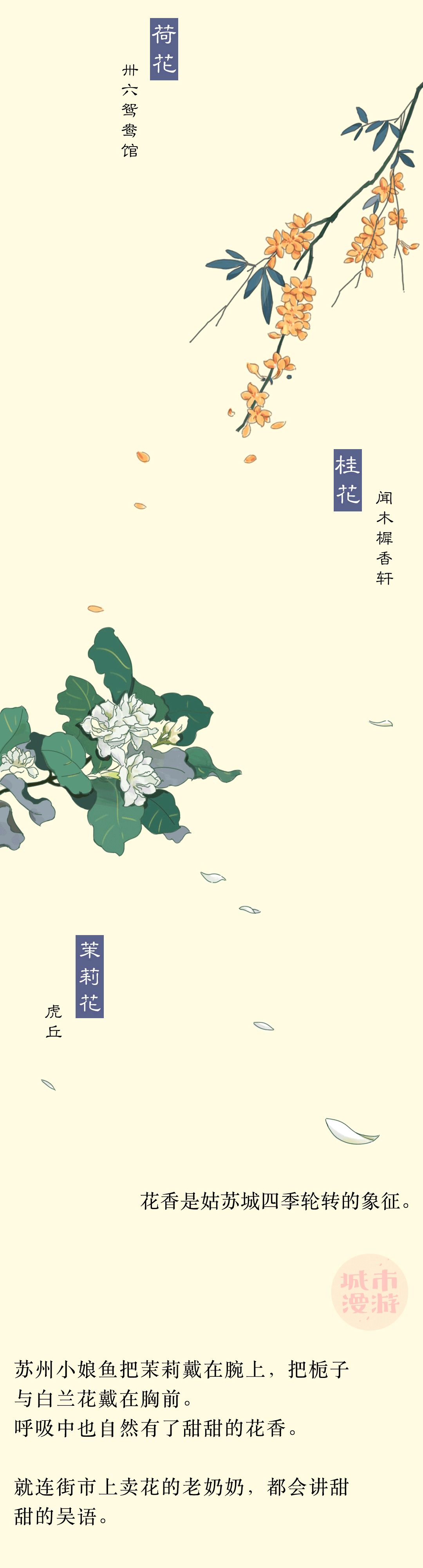 苏州女孩，天下第一甜