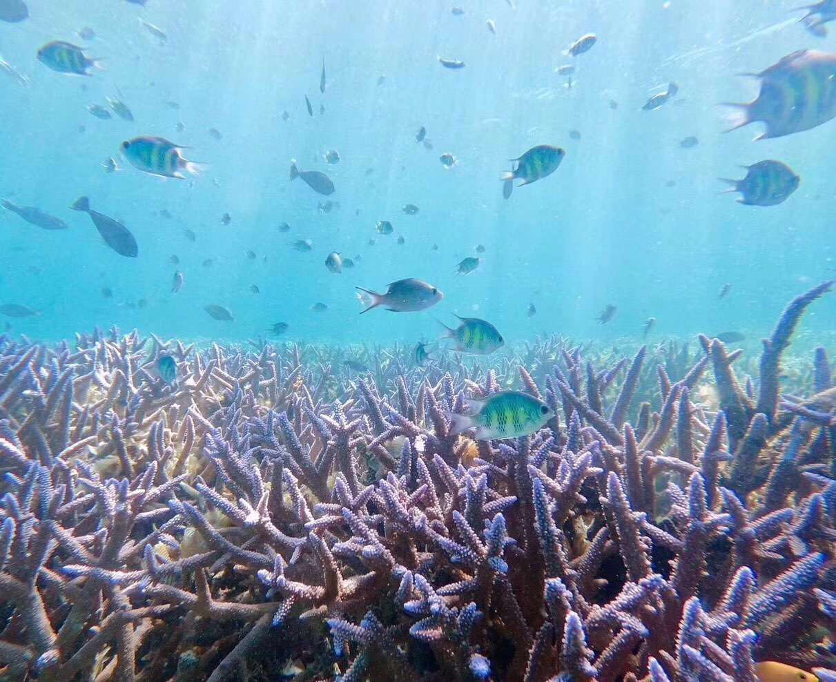 帕劳淡季旅游攻略大全,帕劳旅游攻略酒店推荐