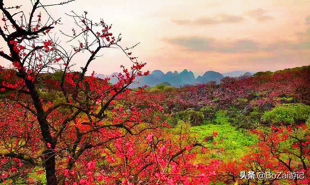 广西乡下田园最美风景图片,广西十大最美风景区
