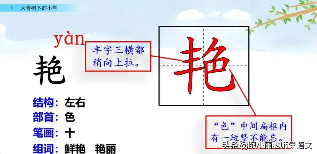大青树下的小学重点知识点,大青树下的小学重点知识梳理