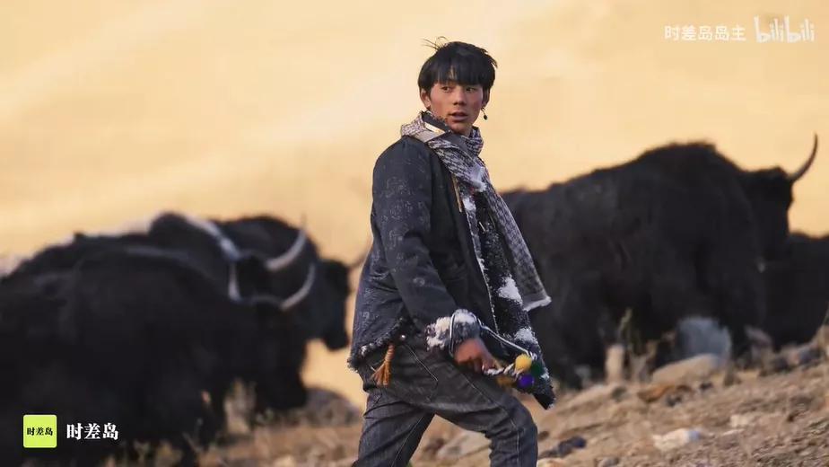 丁真霸屏,网红丁真怎么火起来的