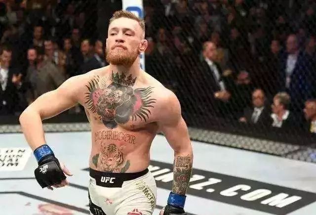 mma训练巴西柔术训练馆报名,mma综合格斗和巴西柔术