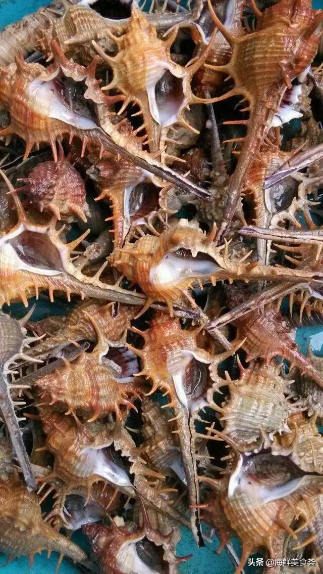 常见的鱼虾蟹等海鲜的认识,虾蟹类海鲜大全