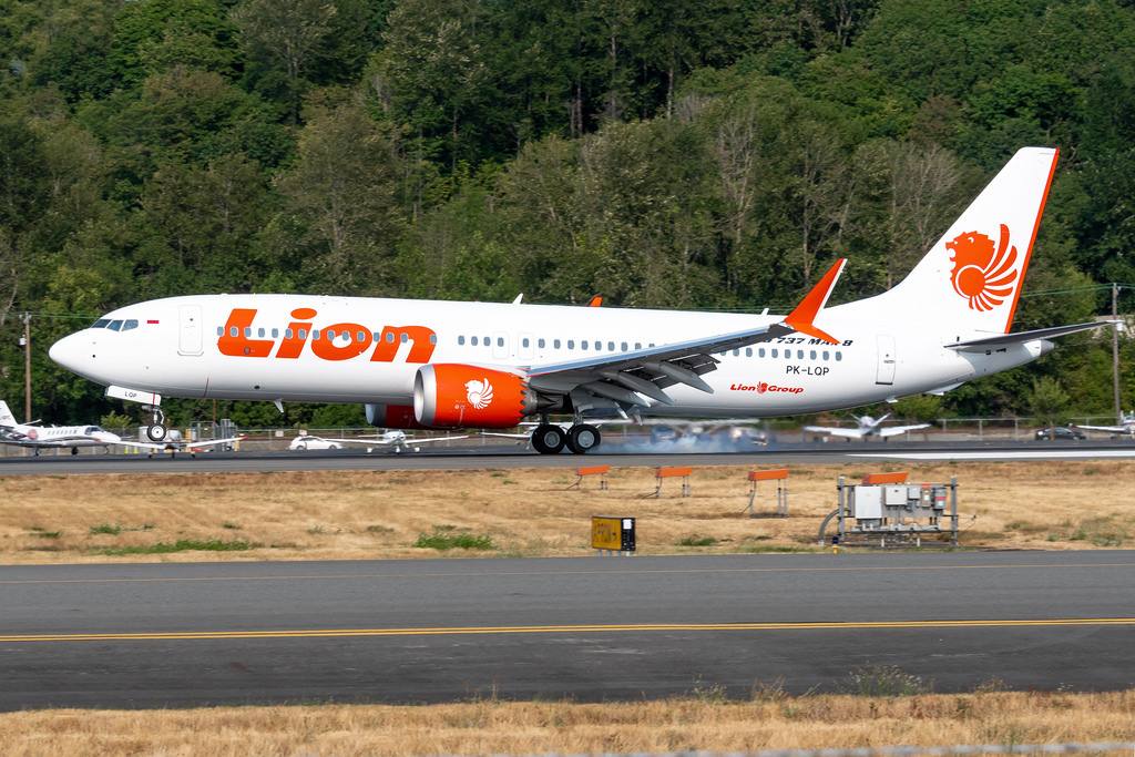 737max8狮子,737max8客机视频