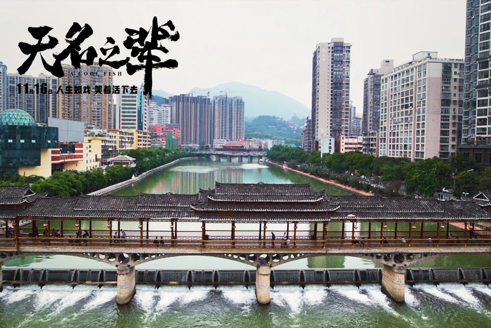 都匀十年后的变化,都匀人为什么喜欢在浦江