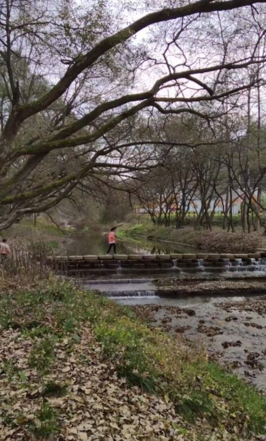 如果在洛南遇见你