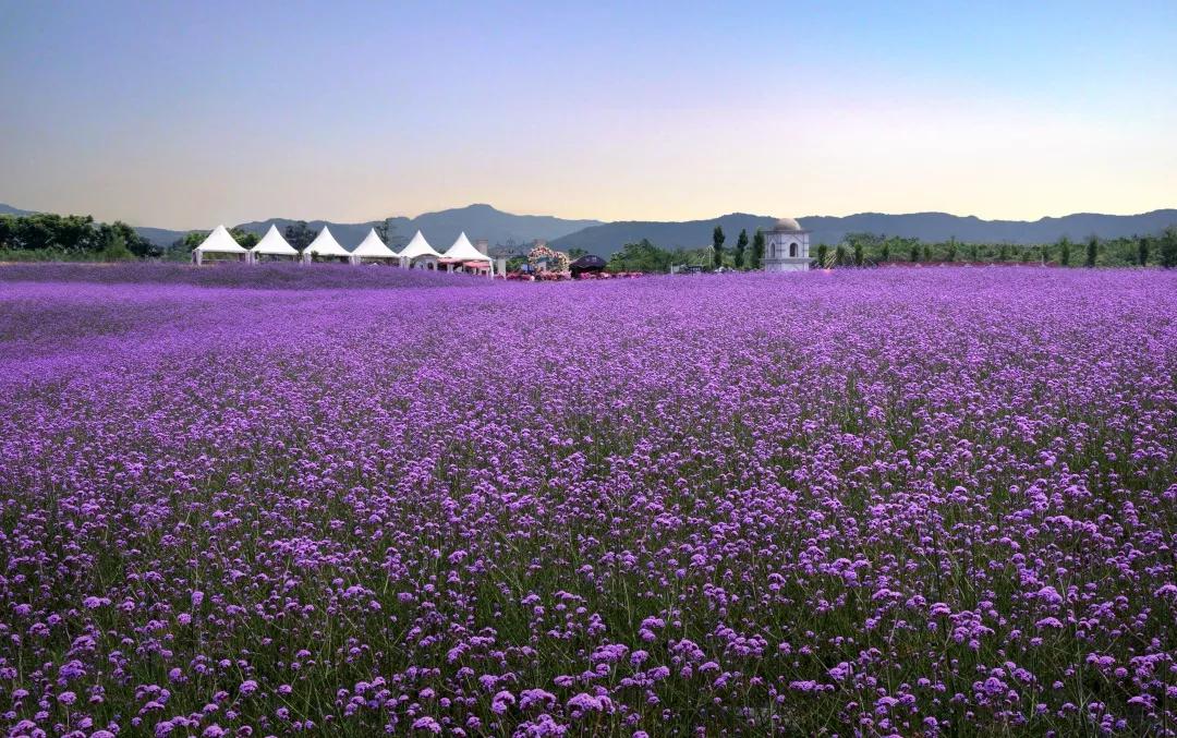 看，这10个项目告诉你公园城市的乡村表达