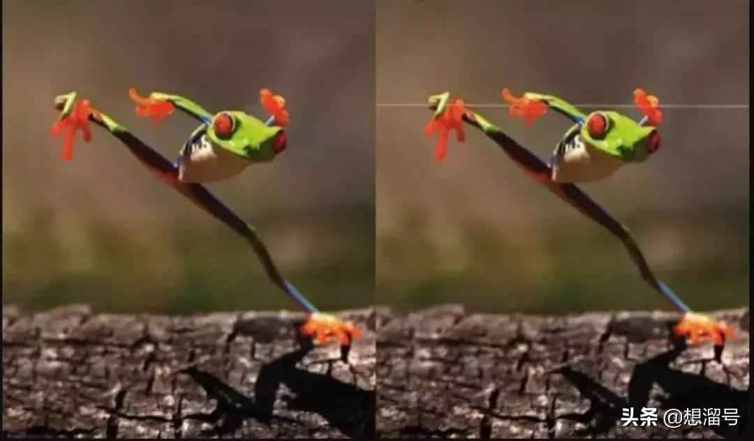 被囚34年取精，被迫亲手杀死爱子，最后只能挣扎着死去……