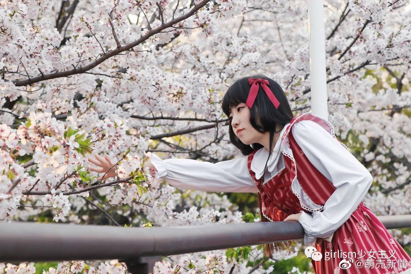 樱花与Lo｜春天来了，好想穿上小裙子去赏花啊