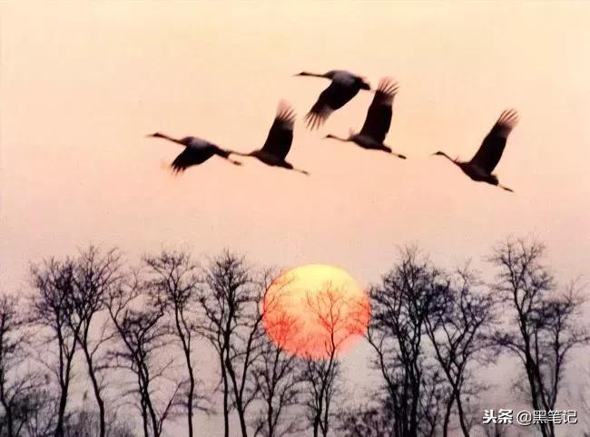 大事发生前有什么前兆,连续两把梳子断了什么征兆