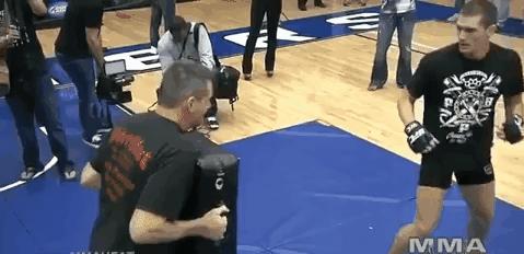 不同侧踢技术的比较分析,前踢实战运用