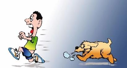 被恶狗攻击如何一招制敌,被恶犬攻击怎么办