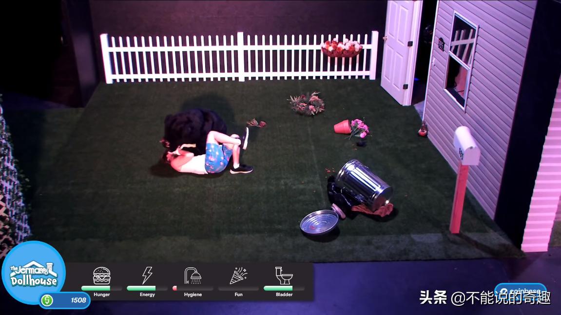 美国真人挑战荒野100天,美国模拟人生