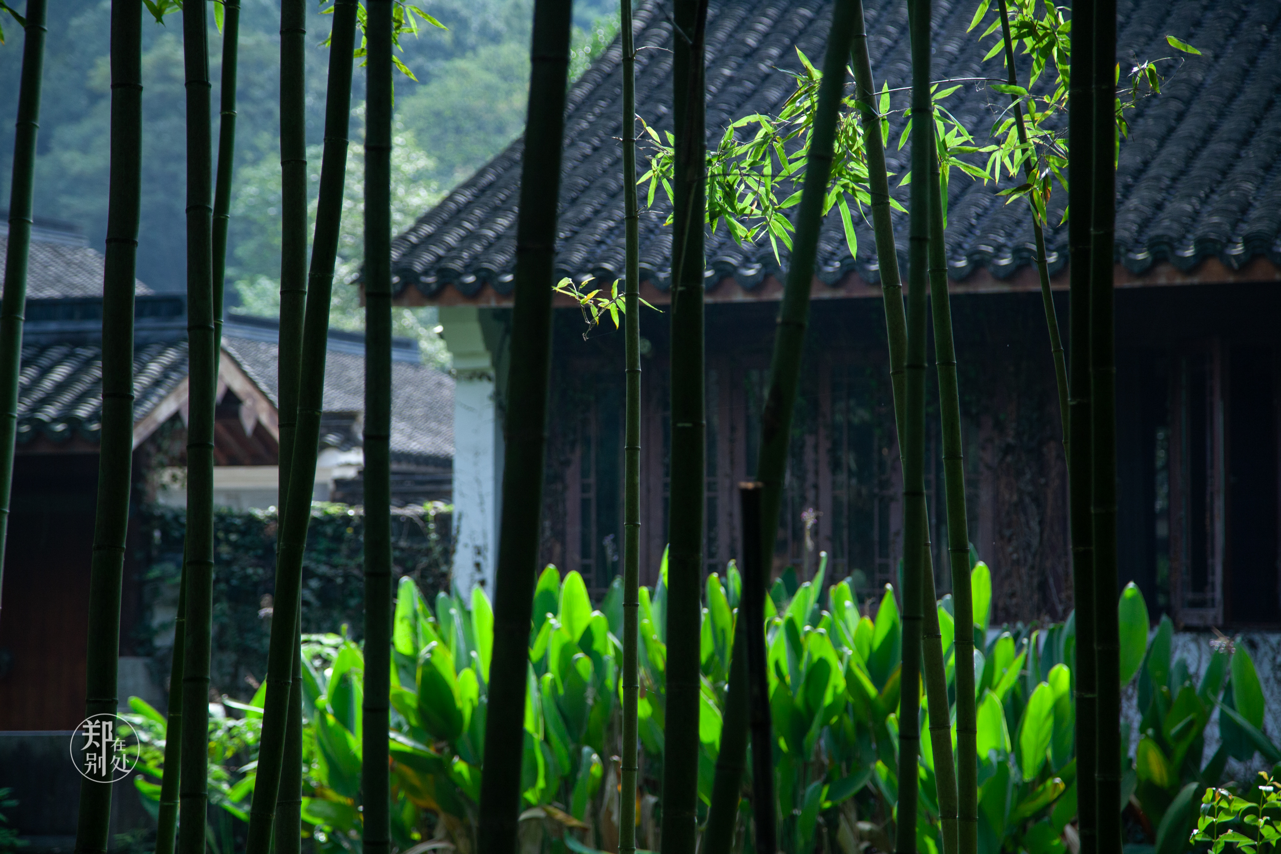 坐公交游杭州几路最好,杭州87路公交沿路风景