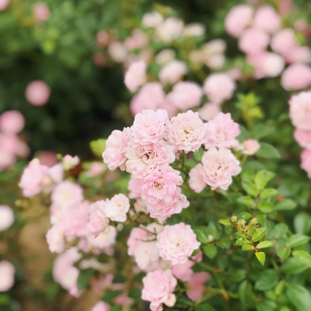 西安马尔代夫沙滩在哪里,西安马尔代夫图片
